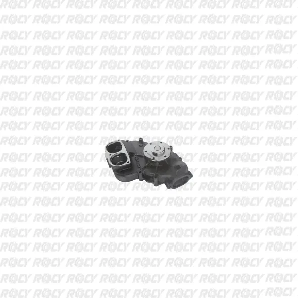 R 01 01-1295